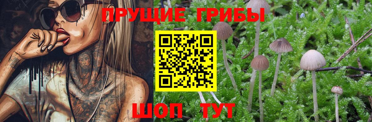где продают   Галлюциногенные грибы Magic Shrooms  Вход с VPN  Волжск 